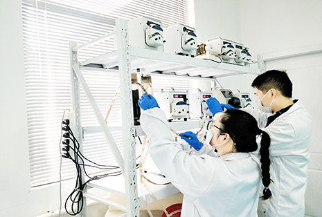 專(zhuān)業(yè)化團(tuán)隊(duì)